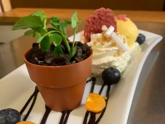 Das sgn. ‚Blumentopf‘ Dessert